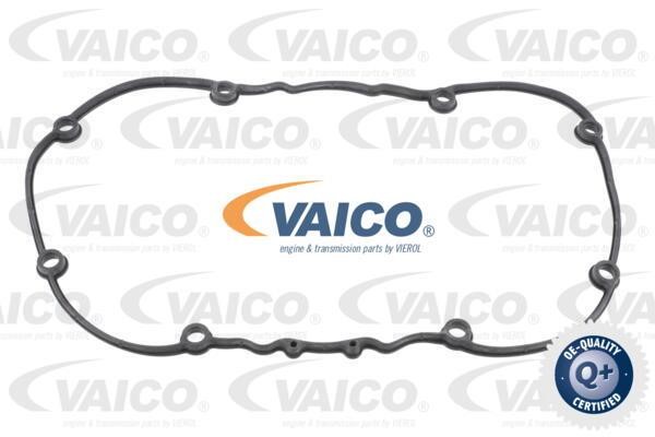 Vaico V10-2558 Gasket, cylinder head cover V102558
