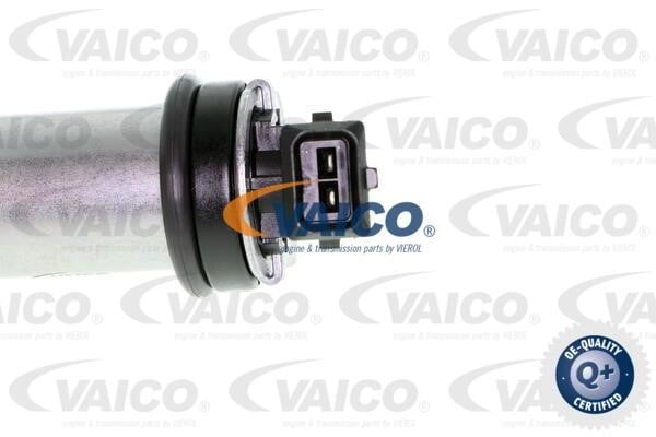Buy Vaico V202954 at a low price in United Arab Emirates!