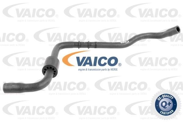 Coolant tube Volkswagen New Beetle: V104654 Vaico Hose assy water outlet