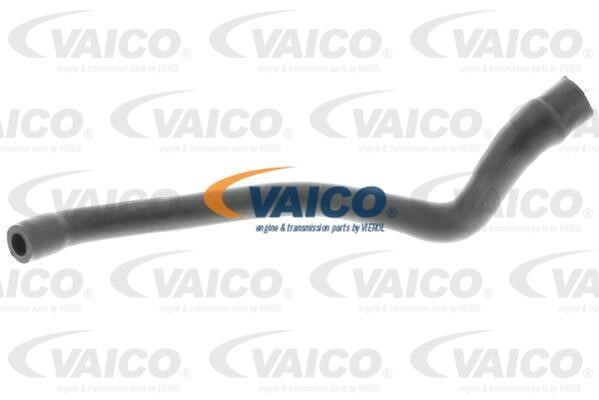 Vaico V302536 Hose, cylinder head cover breather V302536