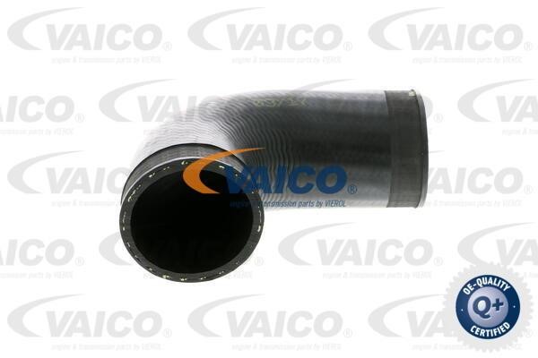 Vaico V104389 Charger Air Hose V104389