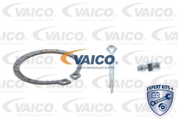 Buy Vaico V3895281 at a low price in United Arab Emirates!