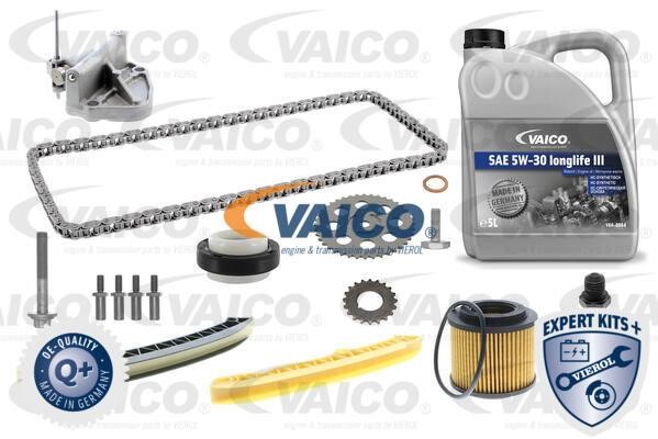 Vaico V10-10008 Timing chain kit V1010008