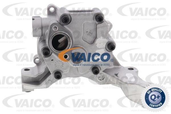 Buy Vaico V10-4262 at a low price in United Arab Emirates!