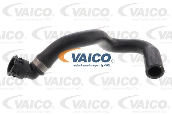 Vaico V20-3872 Radiator hose V203872