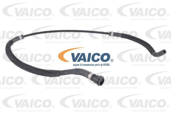 V203864 Vaico Radiator hose