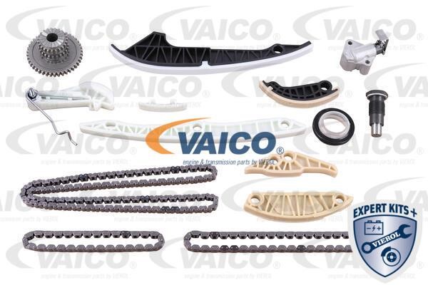 Vaico V10-10024 Timing chain kit V1010024
