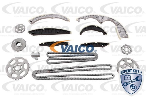 Vaico V10-10019 Timing chain kit V1010019