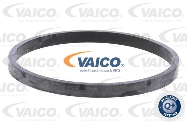 Housing, oil filter Vaico V46-1260