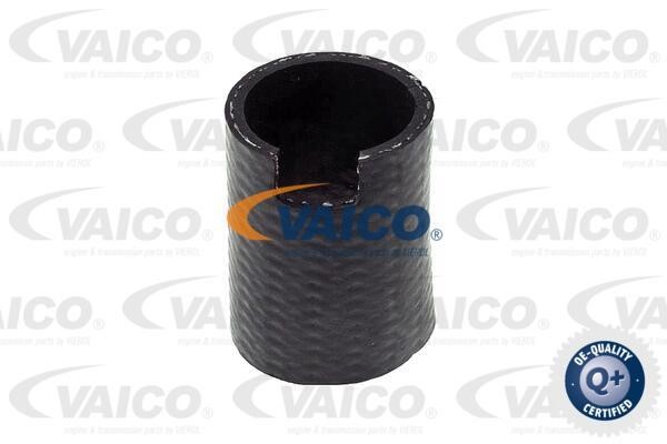 Vaico V420567 Charger Air Hose V420567