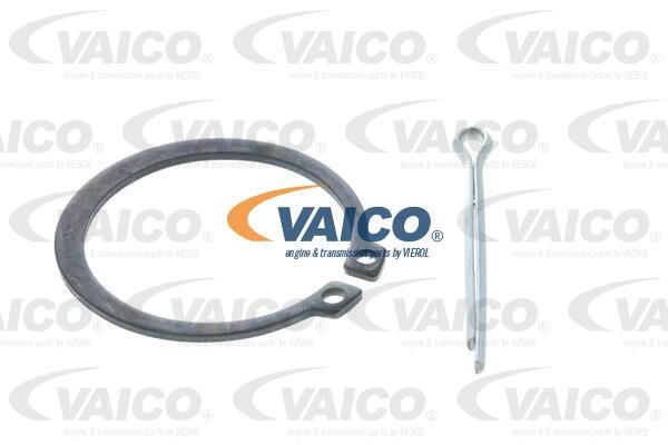 Buy Vaico V2695061 at a low price in United Arab Emirates!