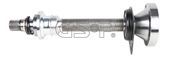 GSP 261255 Stub Axle, differential 261255