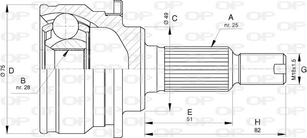 Open parts CVJ5770.10 Joint Kit, drive shaft CVJ577010