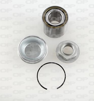 Open parts HBK5144.01 Wheel bearing kit HBK514401