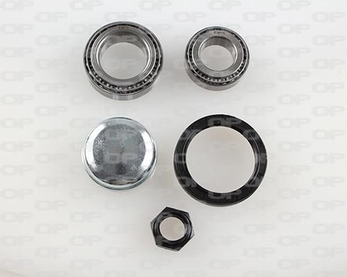 Open parts HBK5160.00 Wheel bearing kit HBK516000