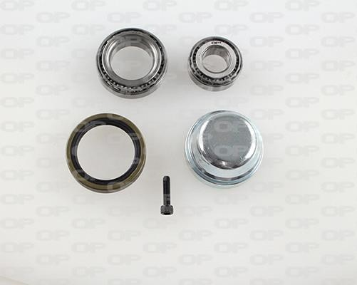 Open parts HBK5190.00 Wheel bearing kit HBK519000