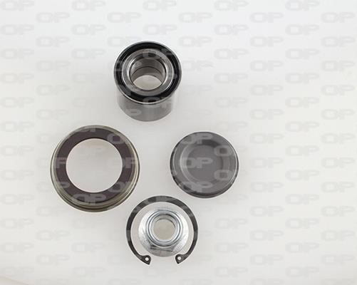 Open parts HBK5098.01 Wheel bearing kit HBK509801
