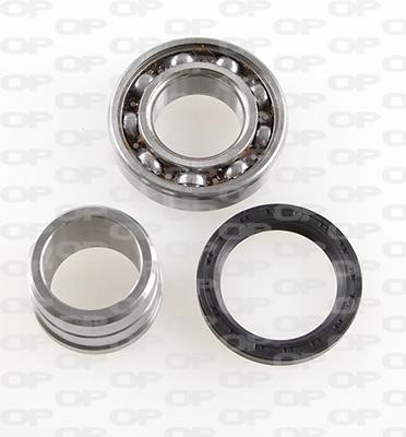 Open parts HBK5187.00 Wheel bearing kit HBK518700