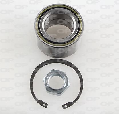 Open parts HBK5066.01 Wheel bearing kit HBK506601