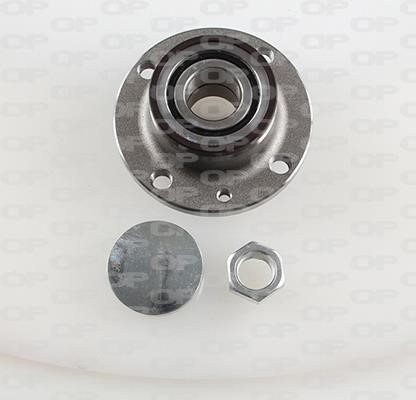 Open parts HBK5070.02 Wheel bearing kit HBK507002
