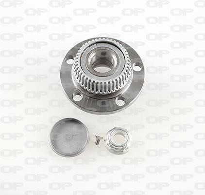 Open parts HBK5136.02 Wheel bearing kit HBK513602