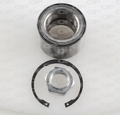 Open parts HBK5105.01 Wheel bearing kit HBK510501