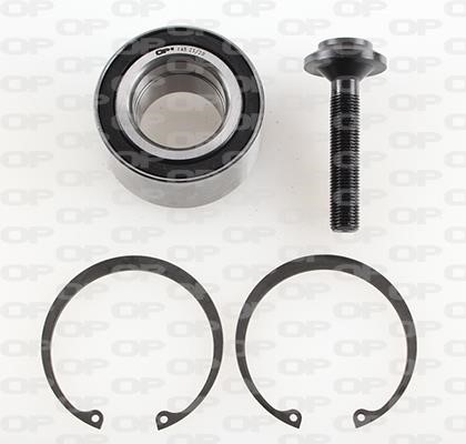 Open parts HBK5099.01 Wheel bearing kit HBK509901
