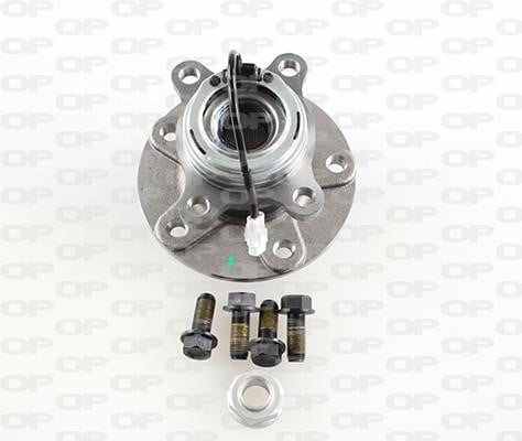 Open parts HBK5175.03 Wheel bearing kit HBK517503