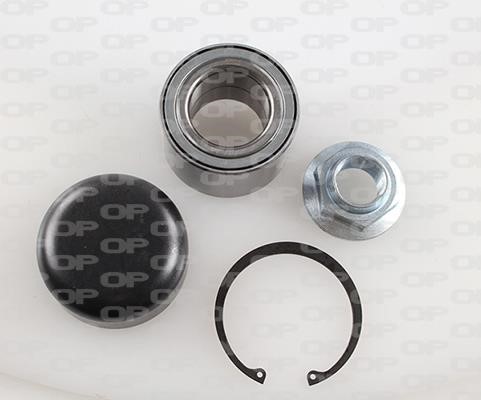 Open parts HBK5173.01 Wheel bearing kit HBK517301