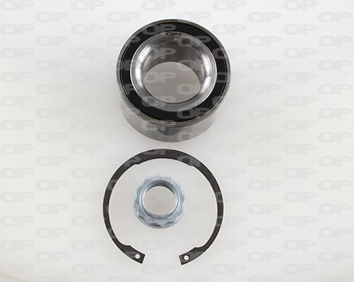 Open parts HBK5156.01 Wheel bearing kit HBK515601