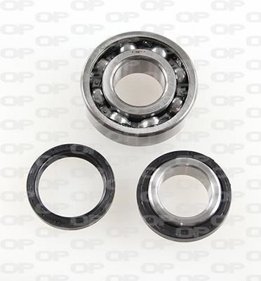 Open parts HBK5170.00 Wheel bearing kit HBK517000