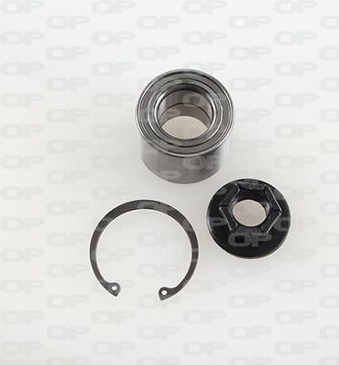 Open parts HBK5014.01 Wheel bearing kit HBK501401