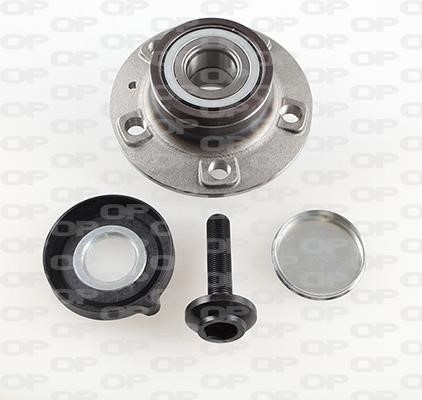 Open parts HBK5195.02 Wheel bearing kit HBK519502
