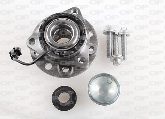 Open parts HBK5132.03 Wheel bearing kit HBK513203