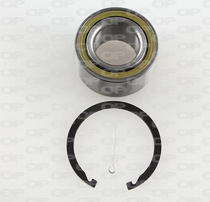 Open parts HBK5193.01 Wheel bearing kit HBK519301