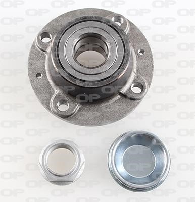 Open parts HBK5256.02 Wheel bearing kit HBK525602