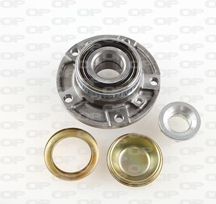 Open parts HBK5221.02 Wheel bearing kit HBK522102