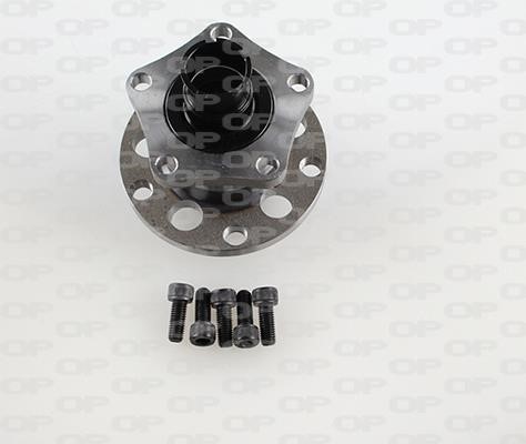 Open parts HBK5225.03 Wheel bearing kit HBK522503