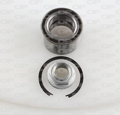 Open parts HBK5024.01 Wheel bearing kit HBK502401
