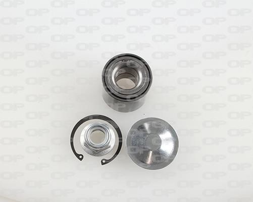 Open parts HBK5053.01 Wheel bearing kit HBK505301