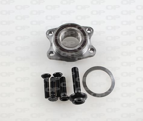 Open parts HBK5238.02 Wheel bearing kit HBK523802