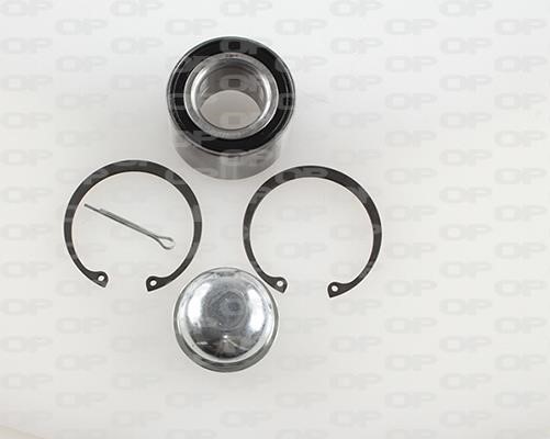 Open parts HBK5036.01 Wheel bearing kit HBK503601