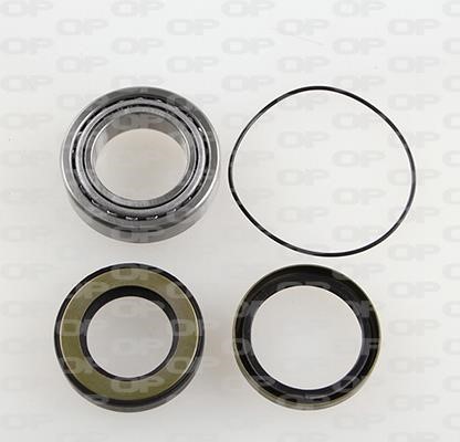 Open parts HBK5260.00 Wheel bearing kit HBK526000