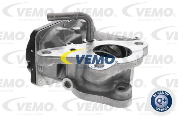 Vemo V46-63-0024 EGR Valve V46630024