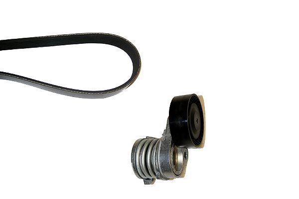 Hepu 20-1379 Drive belt kit 201379
