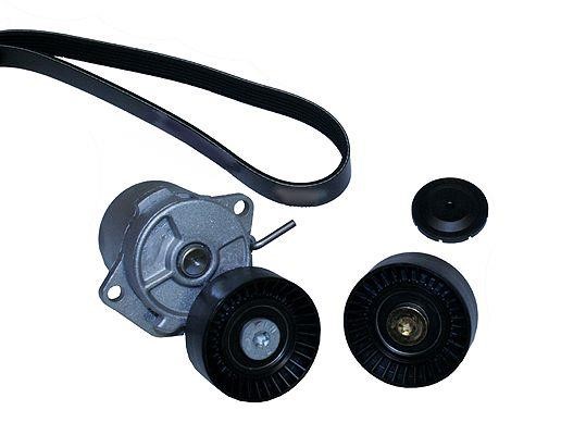 Hepu 20-1390 Drive belt kit 201390