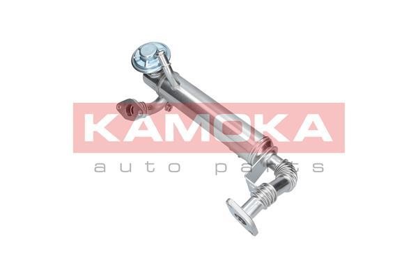 19073 Kamoka Exhaust gas cooler