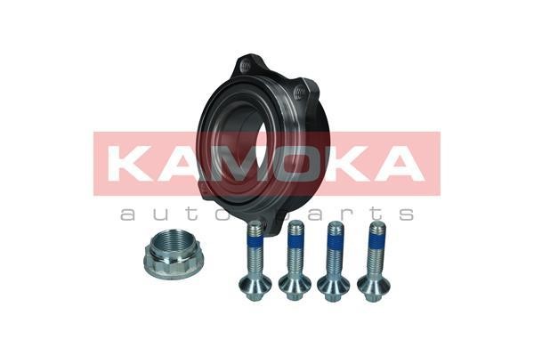 Rear Wheel Bearing Kit Kamoka 5500305