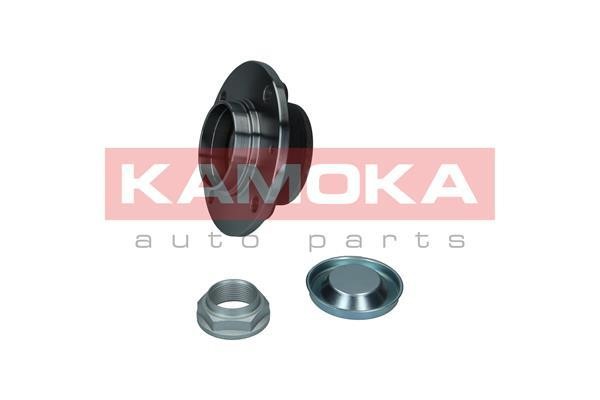Rear Wheel Bearing Kit Kamoka 5500156