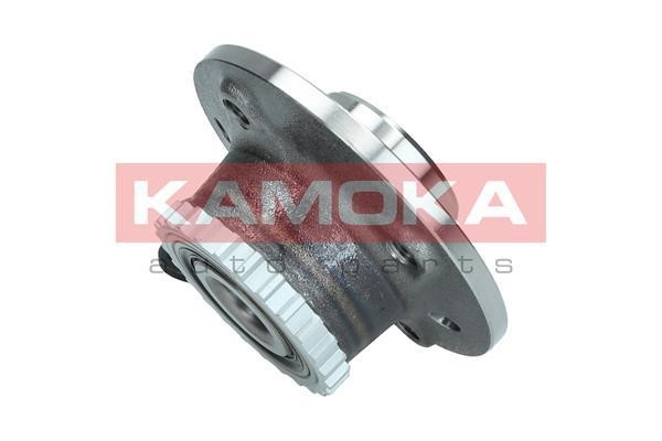 Rear wheel hub Kamoka 5500343